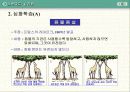 말의 진화(조상,화석) 16페이지