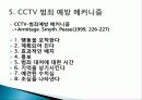 CCTV와 경찰의 범죄예방활동 8페이지