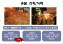 프랑크푸르트 학파와 촛불시위 3페이지