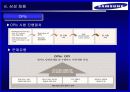 한국경제론 삼성 13페이지