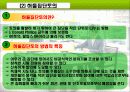 노인교육의 수행과정 18페이지