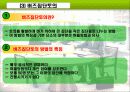 노인교육의 수행과정 21페이지