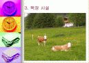 관광 목장 사업 계획서 5페이지