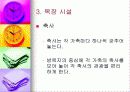 관광 목장 사업 계획서 6페이지