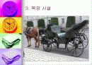 관광 목장 사업 계획서 9페이지