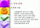 관광 목장 사업 계획서 12페이지