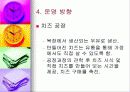 관광 목장 사업 계획서 13페이지