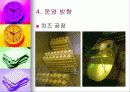 관광 목장 사업 계획서 14페이지