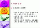 관광 목장 사업 계획서 16페이지