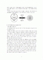[디자인마케팅] 코카 콜라(Coca-Cola)와 디자인 -무엇이 코카 콜라를 움직이는 것인가? 6페이지