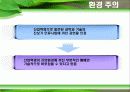 녹색정치와  녹색운동 8페이지