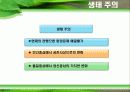 녹색정치와  녹색운동 9페이지