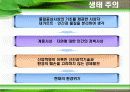 녹색정치와  녹색운동 10페이지
