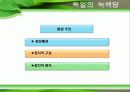 녹색정치와  녹색운동 13페이지