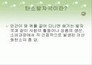 지구온난화와 CO2 4페이지