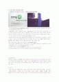 야마기시즘(산안마을 탐방기) 3페이지