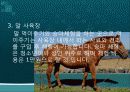 관광 축산 모식도 8페이지