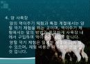 관광 축산 모식도 9페이지