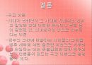 순서대로 본 촛불집회 11페이지