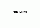 PRE-M 전략 1페이지