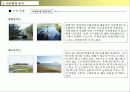리조트사업계획서 12페이지