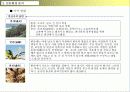 리조트사업계획서 17페이지