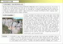 리조트사업계획서 24페이지