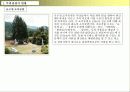 리조트사업계획서 25페이지