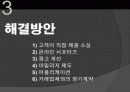 티켓몬스터의 마케팅 전략과 문제점 및 해결 방안(쿠팡과의 소셜커머스 비교분석을 통해) 26페이지
