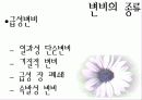 변비에 대하여 6페이지