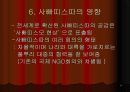 중남미 지역연구 멕시코의 사빠띠스따 23페이지