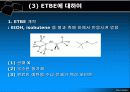 미래를 바라 본 C4 올레핀 반응 10페이지
