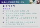 노인복지정책 28페이지