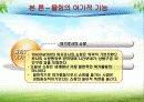여가학개론 (몰링 : Malling) 7페이지