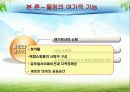여가학개론 (몰링 : Malling) 9페이지