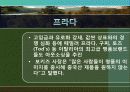 다국적 기업의 국제 물류 국제 아웃소싱 사례연구 19페이지