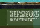 다국적 기업의 국제 물류 국제 아웃소싱 사례연구 24페이지