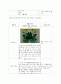 관찰보고서 (흥미 영역 배치도, 미술놀이 영역의 배치도, 자료와 소품, 미술 활동을 기술) 5페이지