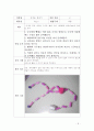 2008학년도 유아 조형 교육 포트폴리오 9페이지