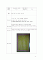 2008학년도 유아 조형 교육 포트폴리오 10페이지