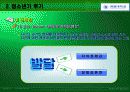 인간행동과 사회환경 청소년기 18페이지