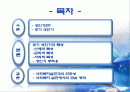 초기 성인기(19~29세) 2페이지