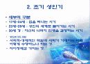 초기 성인기(19~29세) 4페이지