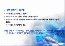 초기 성인기(19~29세) 11페이지