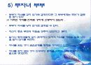 초기 성인기(19~29세) 19페이지