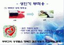 초기 성인기(19~29세) 25페이지