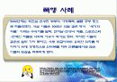 초기 성인기(19~29세) 32페이지