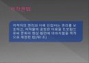 저작권 분쟁 조사 5페이지