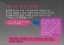저작권 분쟁 조사 11페이지