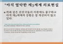 세계화와 제3세계 의료현실 12페이지